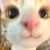 ありしひの