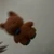 ぱにゃにゃんだー
