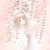 ゆき