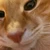 んも