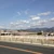 ぷるぷるぷりん