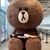 ひこ