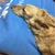 やまさうまさ