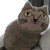 JudyCatz