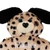 dogriver