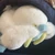 けっそ