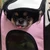 ゆう