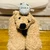 にゃんこ