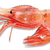 ebi