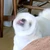 う