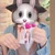 junmmki