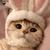 こもも