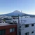 かに