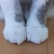 kiki