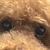 良いものを観たい