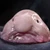 ハイレモ
