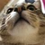 こっぱ