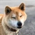 れい