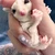 ゆーめめ