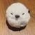 しゅうすけ