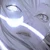 shion