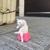 かわしま