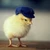 あきひくん