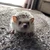ゆうだい