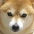 ポン輔