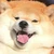 Yu