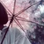 yuho