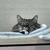 マヨネーズ