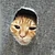 ふりっふりのリボン