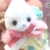 うーぱー