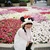 彩華