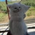 ゆうと