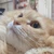 ひかる