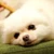 谷川