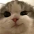 ことまる