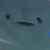 珍宝
