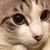 TOM
