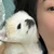 ハブアナイス