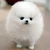 つな