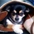 ToyoakiAso