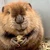 いいえいいえ