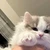 ゆうき