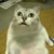 たくあん