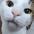 こむ