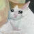 さにゃだ