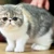 ゆうな